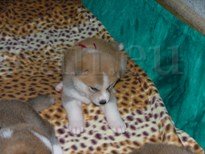 20 stejně to pořád není ono...jpg